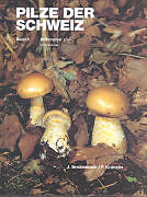 Fester Einband Pilze der Schweiz 05. Blätterpilze 3. Teil von Josef Breitenbach, Fred Kränzlin