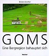 Fester Einband Goms - eine Bergregion behauptet sich von Dieter Zürcher
