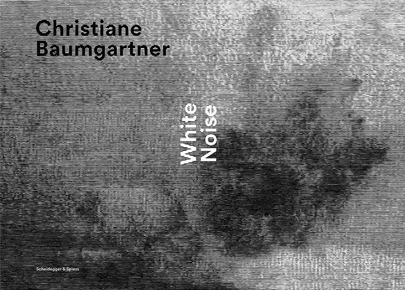 Christiane Baumgartner  White Noise