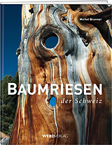 Fester Einband Baumriesen der Schweiz von Michel Brunner