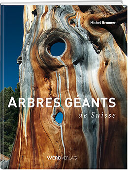 Fester Einband Arbres géants de Suisse von Michel Brunner