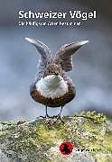 Kartonierter Einband Schweizer Vögel von Livio Rey