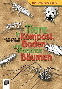 Kartonierter Einband Tiere in Kompost, Boden und morschen Bäumen von Heinrich Köster, Jürgen Dittmann
