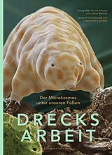 Kartonierter Einband DRECKSARBEIT von Veronika Straaß, Claus-Peter Lieckfeld