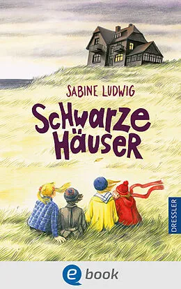 E-Book (epub) Schwarze Häuser von Sabine Ludwig