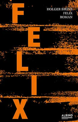 E-Book (epub) Felix von Holger Brüns