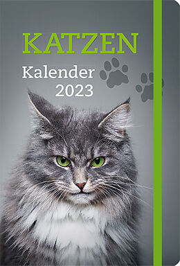 Kalender Katzen - Kalender 2023 von 