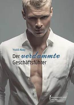 E-Book (pdf) Der verdammte Geschäftsführer von Ysold Abay