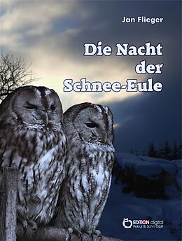 E-Book (pdf) Die Nacht der Schnee-Eule von Jan Flieger