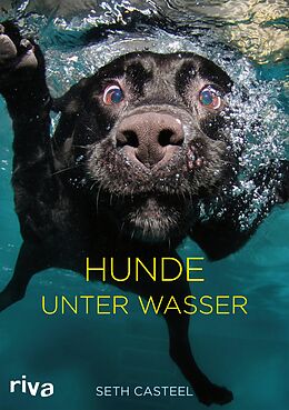 E-Book (epub) Hunde unter Wasser von Seth Casteel