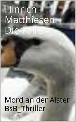 E-Book (epub) Die Falle von Hinrich Matthiesen