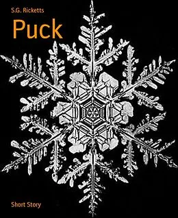 E-Book (epub) Puck von S. G. Ricketts