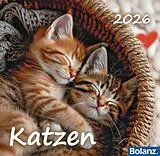 Spiralbindung Katzen 2026 von