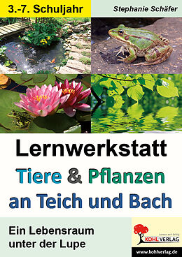 Kartonierter Einband Lernwerkstatt Tiere &amp; Pflanzen an Teich und Bach von Stephanie Schäfer