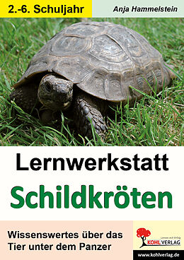 Geheftet Lernwerkstatt Schildkröten von Anja Hammelstein
