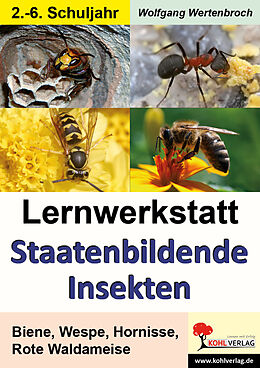 Kartonierter Einband Lernwerkstatt Staatenbildende Insekten von Wolfgang Wertenbroch
