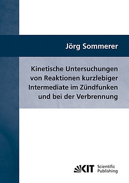Kartonierter Einband Kinetische Untersuchungen von Reaktionen kurzlebiger Intermediate im Zündfunken und bei der Verbrennung von Jörg Sommerer