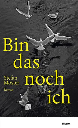 E-Book (epub) Bin das noch ich von Stefan Moster