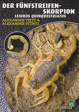 Kartonierter Einband Der Fünfstreifen-Skorpion von Andreas Tietz, Alexander Stürtz
