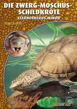 Kartonierter Einband Die Zwerg-Moschusschildkröte von Jens Rauh