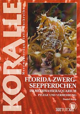 Kartonierter Einband Florida-Zwergseepferdchen im Meerwasseraquarium von Daniel Knop