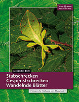 Kartonierter Einband Stabschrecken, Gespenstschrecken, Wandelnde Blätter von Alexander Esch