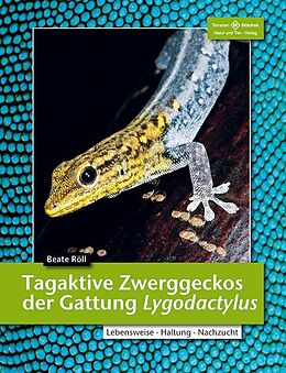 Kartonierter Einband Tagaktive Zwerggeckos der Gattung Lygodactylus von Beate Röll
