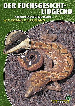 E-Book (epub) Der Fuchsgesicht-Lidgecko von Wolfgang Grossmann