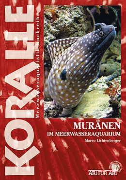 E-Book (epub) Muränen im Meerwasseraquarium von Marko Lichtenberger