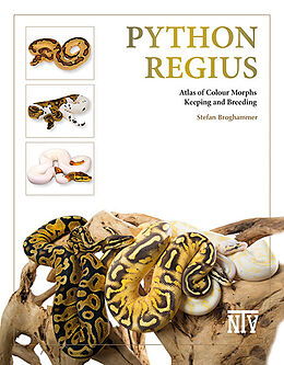 Livre Relié Python regius de Stefan Broghammer