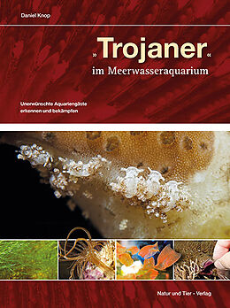 Fester Einband Trojaner im Meerwasseraquarium von Daniel Knop