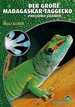 Kartonierter Einband Der Große Madagaskar-Taggecko von Ingo Kober