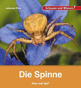 Fester Einband Die Spinne von Johanna Prinz