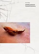 Kartonierter Einband Nanne Meyer von Dorit Schäfer, Frédéric Bußmann