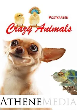 E-Book (pdf) Postkarten von Hoffmann