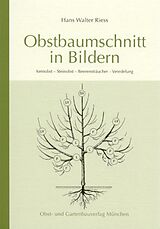 Kartonierter Einband Obstbaumschnitt in Bildern von Hans W Riess