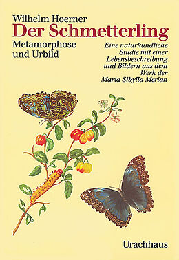 Fester Einband Der Schmetterling von Wilhelm Hoerner