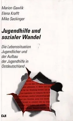 Jugendhilfe und sozialer Wandel