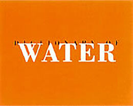 Fester Einband Dictionary of water von Roni Horn