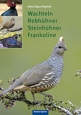 Fester Einband Wachteln, Rebhühner, Frankoline von Heinz-Sigurd Raethel