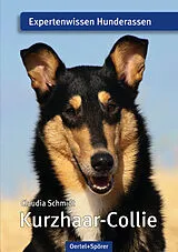 Kartonierter Einband Kurzhaar-Collie von Claudia Schmidt