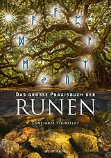 Kartonierter Einband Das große Praxisbuch der Runen von Constanze Steinfeldt