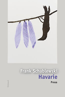 Broschiert Havarie von Frank Schablewski