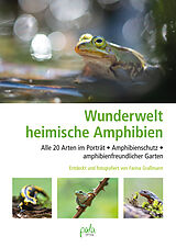 Fester Einband Wunderwelt heimische Amphibien von Farina Graßmann