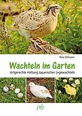 E-Book (pdf) Wachteln im Garten von Nina Dittmann