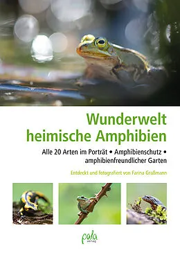 E-Book (epub) Wunderwelt heimische Amphibien von Farina Graßmann