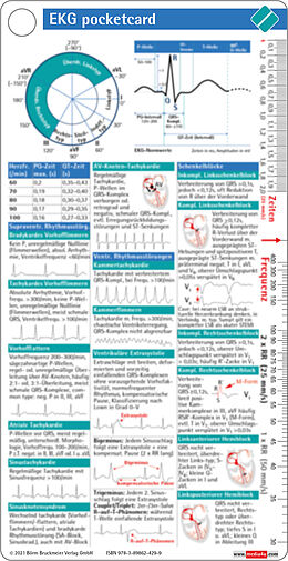 Kartonierter Einband EKG pocketcard von Börm Bruckmeier Verlag GmbH