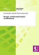 Kartonierter Einband Energie- und Umweltverhalten im Mittelstand von Jörn-Axel Meyer, Alexander Tirpitz, Dietmar Lass