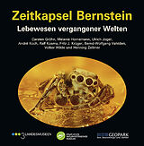 Kartonierter Einband (Kt) Zeitkapsel Bernstein  Lebewesen vergangener Welten von Carsten GRÖHN, Melanie HORNEMANN, Ulrich JOGER