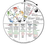 Drucksache, laminiert TCM-Grundlagen Drehscheibe von Nicola G. Keller